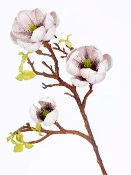 3 шт. искусственный цветок магнолии EVA поддельные цветы для фотографии реквизит свадьба Крытый Открытый дом украшение гостиной шампанского