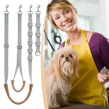 3 шт./компл. петля для ухода за домашними животными, ремень для ухода за собаками, удлинитель для рук, петля для купания домашних животных, поводок для удержания домашних животных серый