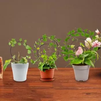 3 шт. круглая решетка для растений, многоразовая металлическая решетка для комнатных растений, комнатные вьющиеся растения, опорная решетка для горшечного плюща и цветов на открытом воздухе чёрный