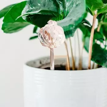 3 шт Легкий полив растений Капельницы Кактус Шар Форма Новый Дом Зеленые Авто Лампы чистый