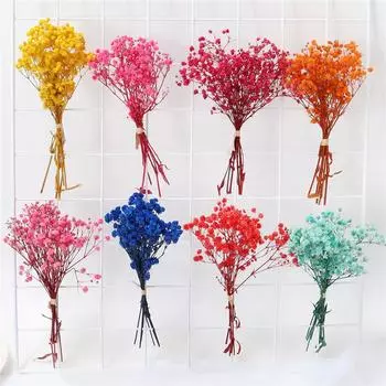 3 шт. Мини BabysBreath Маленький натуральный свежий сухоцветный букет для фотографий Фотофон Красочные сухие цветы Пресс Декоративный