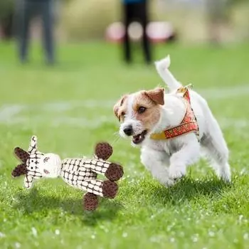 3 шт. неразрушимые игрушки для жевания собак мягкая игрушка для собак ослик для агрессивных кофейный