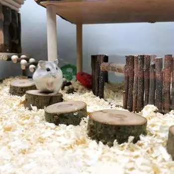 3 шт./пакет платформа для хомяка без заусенцев износостойкая цилиндрическая форма маленькая белка деревянная стоячая игрушка