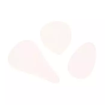 3 шт. самоклеящиеся консилеры Camel Toe, палочки для удаления морщин белый