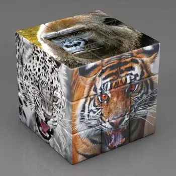 3D 3x3x3 Speed Cube Брайля Fingerprinting For Animal Cubes Высокое качество Rotation Cubos Magicos Обучающие игры для детей