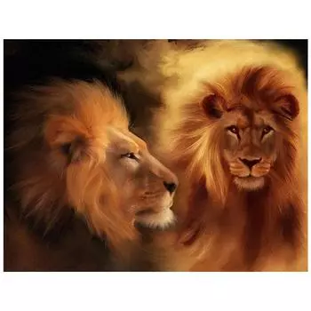 3D Алмазная вышивка Картина Вышивка крестиком Круглый горный хрусталь Картина Животное Лев Full Round 20x25CM