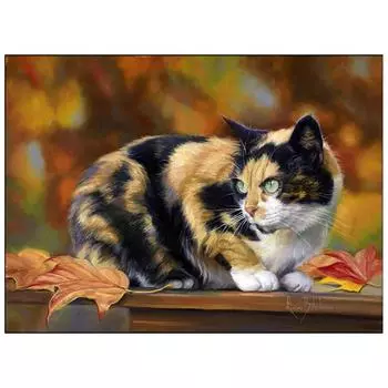 3D Алмазная вышивка Картина Вышивка крестиком Круглый горный хрусталь Картина Животное Кот Full Round 20x25CM