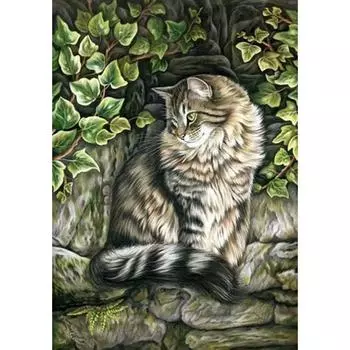 3D Алмазная вышивка Картина Вышивка крестиком Круглый горный хрусталь Картина Животное Кот Full Round 20x25CM