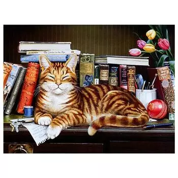 3D Алмазная вышивка Картина Вышивка крестиком Круглый горный хрусталь Картина Животное Кошка Домашний декор Full Round 20x25CM