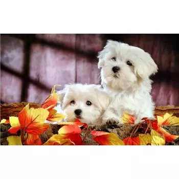 3D Алмазная вышивка Картина Вышивка крестиком Круглый горный хрусталь Картина Животное Собака Full Round 20x25CM