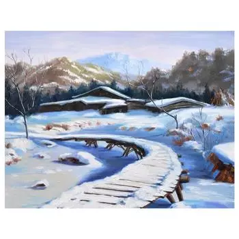 3D Алмазная вышивка Картина Вышивка крестом Круглые Стразы Картина Снежный Дом Full Round 20x25CM