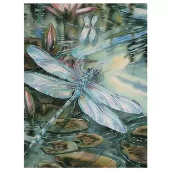 3D Алмазная вышивка Картина Вышивка крестом Круглый горный хрусталь Картина Насекомое Стрекоза Full Round 20x25CM