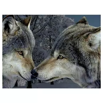3D Алмазная вышивка Картина Вышивка крестом Круглый горный хрусталь Картина Животное Волк Full Round 20x25CM