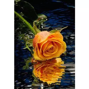 3D Алмазная вышивка Картина Вышивка крестом Круглый горный хрусталь Картина Цветы Full Round 20x25CM