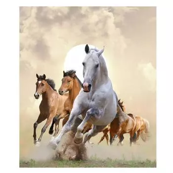 3D Алмазная вышивка Картина Вышивка крестом Круглый горный хрусталь Картина Животное Лошадь Full Round 20x25CM