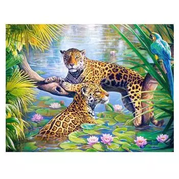 3D Алмазная вышивка Картина Вышивка крестом Круглый горный хрусталь Картина Животное Леопард Full Round 20x25CM