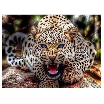 3D Алмазная вышивка Картина Вышивка крестом Круглый горный хрусталь Картина Животное Леопард Full Round 20x25CM