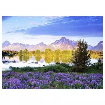 3D Алмазная вышивка Картина Вышивка крестом Круглый горный хрусталь Картина Пейзаж Full Round 20x25CM