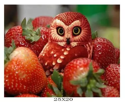 3D Алмазная вышивка Картина Вышивка крестом Круглый горный хрусталь Картина Животное Сова Full Round 20x25CM