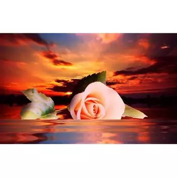 3D Алмазная вышивка Картина Вышивка крестом Круглый горный хрусталь Картина Цветы заката Full Round 20x25CM