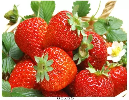 3D Алмазная вышивка Картина Вышивка крестом Круглый горный хрусталь Картина Фрукты Клубника Full Round 20x25CM