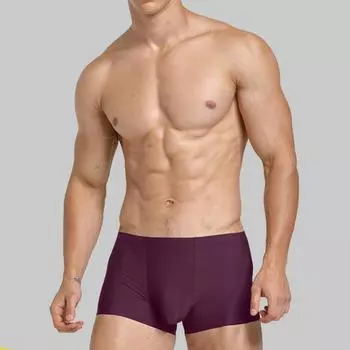 3D антибактериальный ледяной шелк высокого качества горячая распродажа популярные спандекс шорты бесшовные L-XXXL 1 шт боксеры нижнее белье мужчины роскошь уникальный L