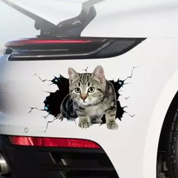 3D Cat Car 3D Cat Наклейки Водонепроницаемые наклейки для маскировки царапин на кузове автомобиля Стайлинг автомобиля 20X12cm-C