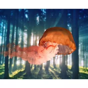 3D DIY Алмазная вышивка Крестом Лесная медуза Алмазная картина Украшение дома 20X30CM