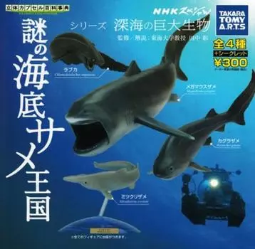 3D Капсульная энциклопедия NHK Special Таинственное подводное королевство акул Все 5 типов Набор Gacha Gacha