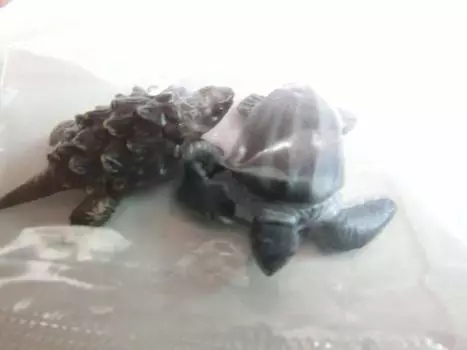 3D Капсула Энциклопедия Основной Цвет Рептилия Черепаха Глаз Иллюстрированная Книга Кожистая Черепаха Отдельный Предмет Gacha [Пересмотренное Издание] (несовершеннолетний)