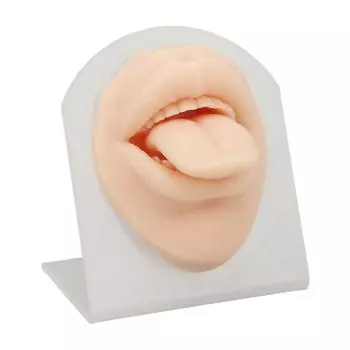 3D Мягкая силиконовая модель языка и рта с подставкой Многоразовая демонстрационная модель языка для пирсинга