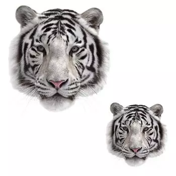 3 D Термоаппликация Белый Тигр для украшения одежды