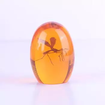 3D Пресс-папье Инструменты Mosquito Amber Настольные аксессуары Коллекция Уникальный дизайн Фигурки Пресс-папье Домашний декор