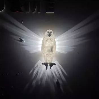 3D Животные Светодиодный настенный светильник Ночная сова Настенные светильники Настенный светильник Белоголовый орлан Настенный светильник Лев A1-S