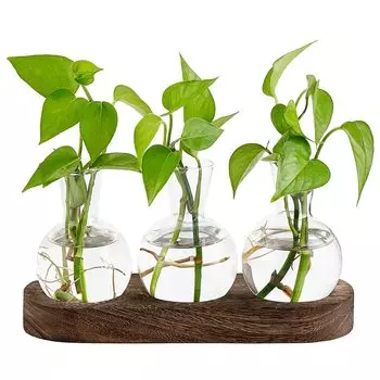 3Pcs Bulb Vase Plant Propagation Statio with Wooden Stand Flower Bud Glass Planter, Perfect for Home Office Decor Plant