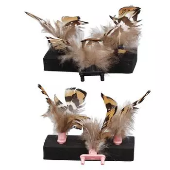 3pcs Pet Toy Interactive Cat Toy Promote Circulation Anxiety Reduction Plastic Kitten Toy fo Roseate