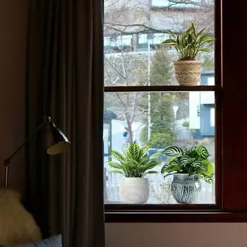 3шт. Наклейка на стену зеленое растение в горшке наклейка декоративная роспись наклейка на стену фон настенное украшение самоклеящаяся