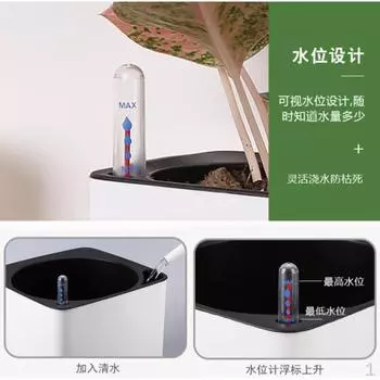 3x Растения для горшков 20 см