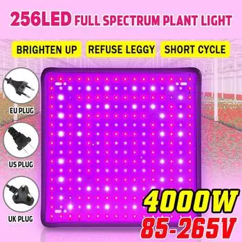 4000 Вт 256 светодиодный светильник для выращивания растений, светодиодная фито-лампа полного спектра, высокая мощность AC85-265 В, светодиодная панель, лампа для выращивания растений, палатка для гидропоники