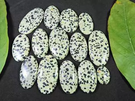 402Cts. AAA натуральный далматин овальный кабошон россыпью драгоценный камень 14 шт. лот 18-40 мм RQ-1459