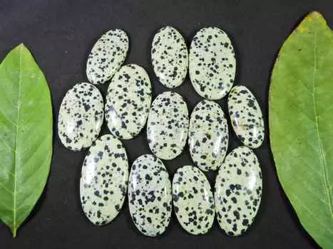 403Cts. AAA натуральный далматин овальный кабошон драгоценный камень россыпью 12 шт. лот 32-42 мм RQ-1467