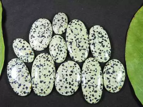 405Cts. AAA Natural Dalmation Oval Cabochon Loose Gemstone 11Pcs Lot 26-46MM RQ-1465