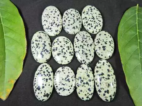 406Cts. AAA Natural Dalmation Oval Cabochon Loose Gemstone 11Pcs Lot 28-38MM RQ-1454