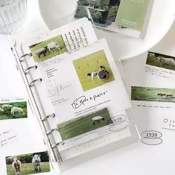 40 шт., 105x135 мм, наклейки для домашних животных, пейзажные наклейки, канцелярские декоративные наклейки, самоклеящиеся, сделай сам, украшение для дневника, подарки 01