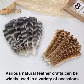 40 шт./компл. натуральных куриных перьев, ассорти из 4 стилей, центральные украшения, украшения для шляп, проекты «сделай сам», украшения для дома, свадьбы, вечеринки, настоящее перо фазана Mixed Style