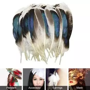 40 шт./компл. натуральных куриных перьев, ассорти из 4 стилей, центральные украшения, украшения для шляп, проекты «сделай сам», украшения для дома, свадьбы, вечеринки, настоящее перо фазана Mixed Style