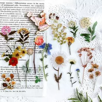 40 шт. ПЭТ-наклейки, растения, цветы, грибы, 8 тем, 20 узоров, наклейки, конверт для ноутбука, чехол для телефона, украшение для бутылки с водой B