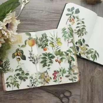 40 шт. желтый, зеленый, красный, хурма, персик, фрукты, стиль, прозрачная наклейка, скрапбукинг, сделай сам, подарочная упаковочная этикетка, бирка для украшения подарка