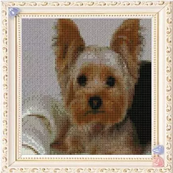 40x40CM Рукоделие 5D DIY Алмазные точки Домашнее украшение 20x20CM