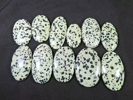 410Cts. AAA Natural Dalmation Oval Cabochon Loose Gemstone 11Pcs Lot 30-39MM RQ-1456